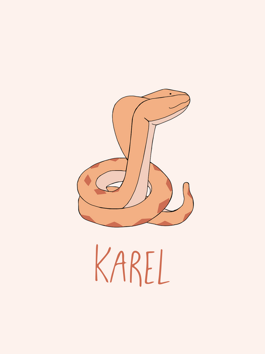 Poster Karel Cobra