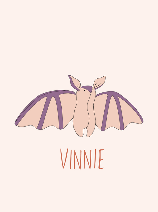 Poster Vinnie Vleermuis